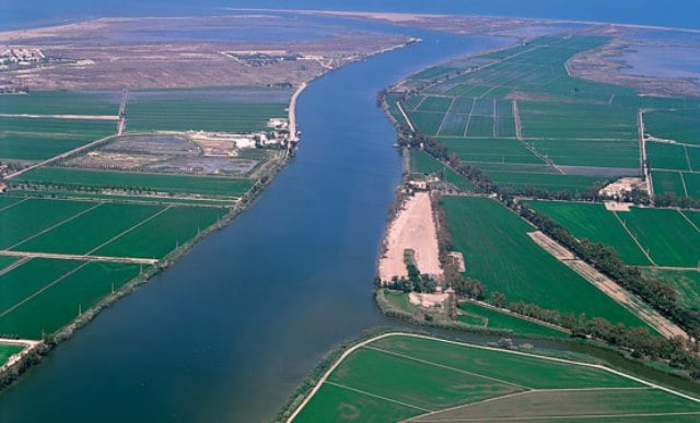 Desembocadura  rio ebro. Foto